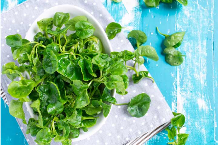 ۲۵ خوراکی پرآب برای آبرسانی طبیعی بدن؛ راهنمای کامل مواد غذایی حاوی بیش از ۸۰ درصد آب
