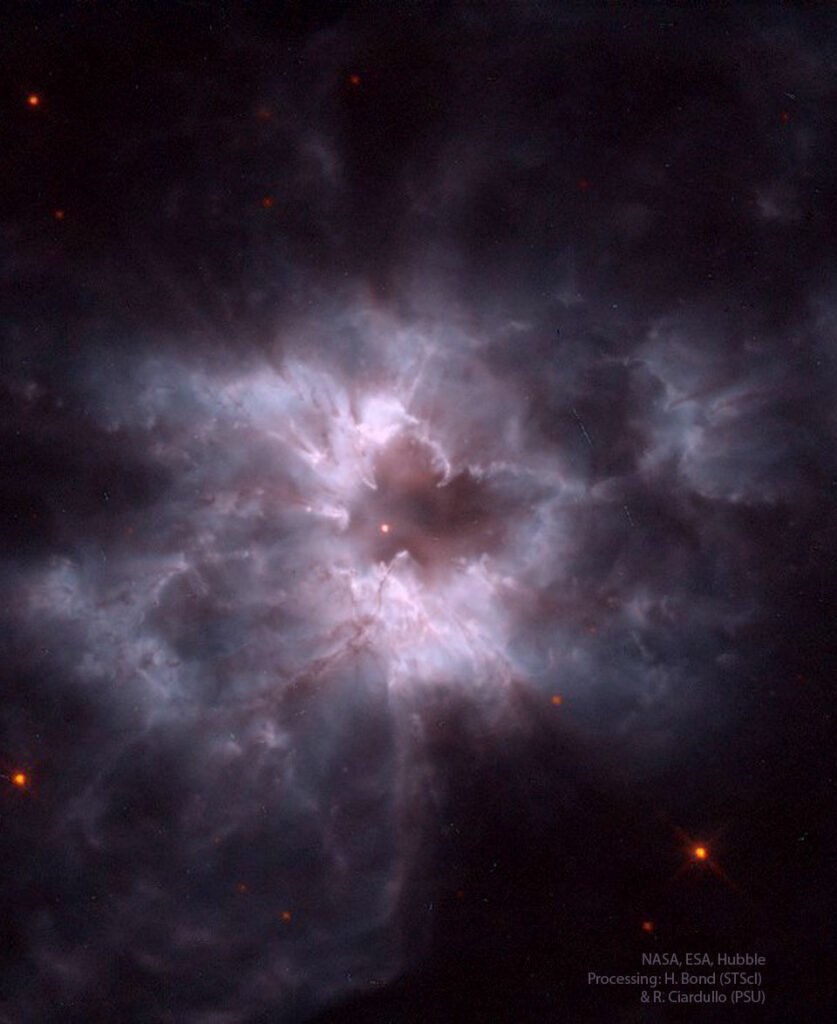 NGC 2440، پیله یک کوتوله سفید تازه 1 NGC 2440، پیله یک کوتوله سفید جدید