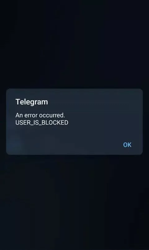 از کجا بفهمیم در تلگرام بلاک شدیم_تمشک 5 1718301589 637 از کجا بفهمیم در تلگرام بلاک شدیم تمشک.webp