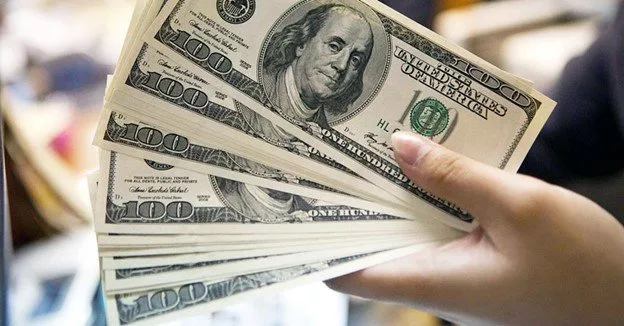 چطور درآمد دلاری کسب کنیم؟_تمشک 1 چگونه درآمد دلاری کسب کنیم؟