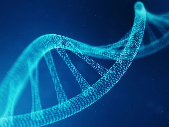 دانشمندان برای ذخیره سازی داده‌ها از DNA استفاده کردند
