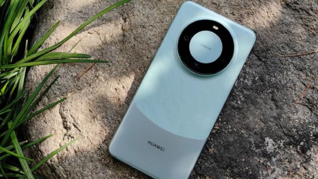هواوی تاریخ رونمایی از سری پرچمدار Mate 70 را اظهار کرد_تمشک 1 هواوی تاریخ رونمایی از سری پرچمدار Mate 70 را اعلام کرد