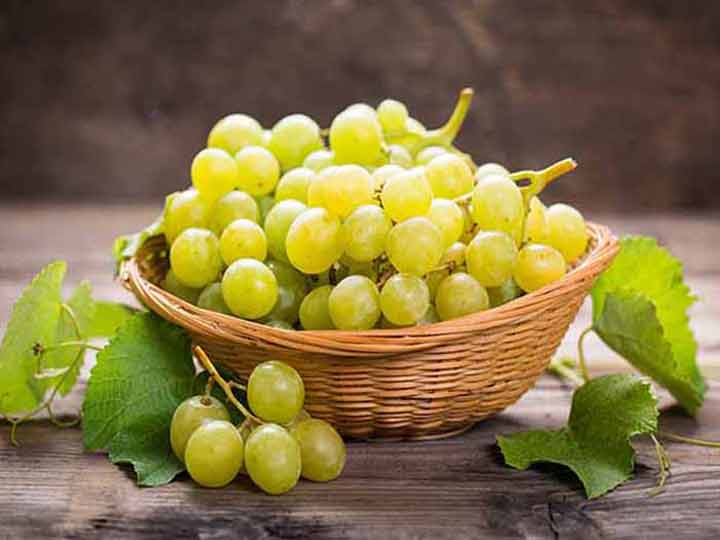 خواص انگور؛ ۵۵ مزیت درمانی انواع برای بهبود سلامت 16 خواص انگور؛ ۵۵ مزیت درمانی انواع برای بهبود سلامت