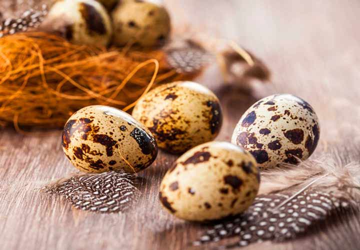 خواص و فواید تخم بلدرچین؛ غذايي با ارزش افزودن به رژیم